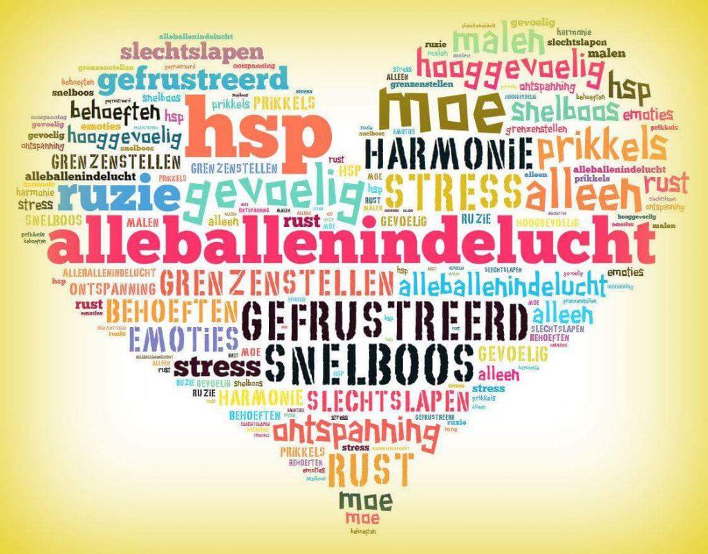 5 elementen Nine star Ki I Tjijng coach coaching Huizen Nanda de Vries Harmony4you kinderen hsp samengesteld gezin