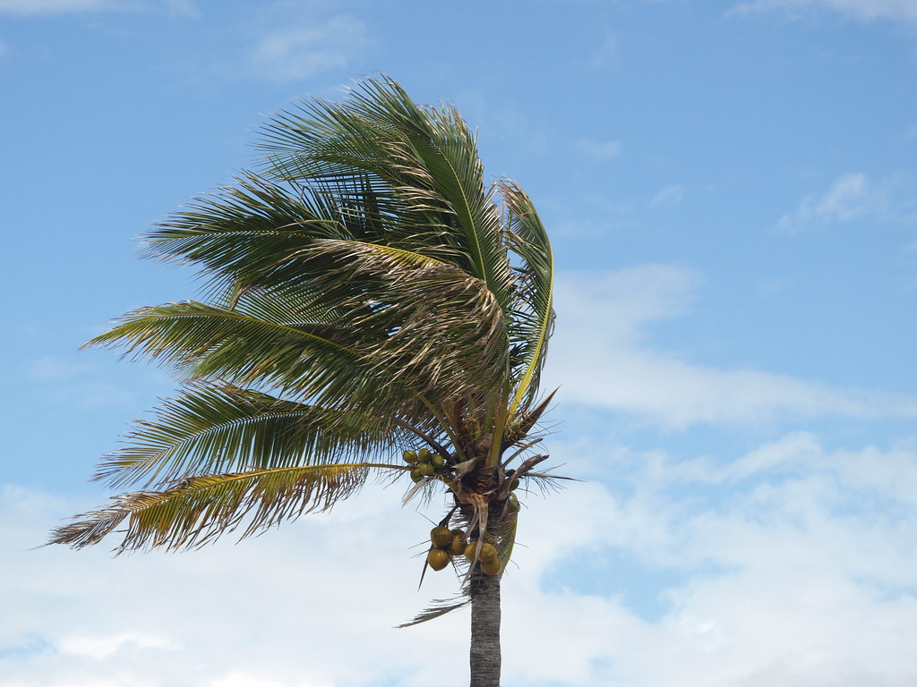 5 elementen Nine star Ki I Tjijng coach coaching Huizen Nanda de Vries Harmony4you kinderen hsp samengesteld gezin